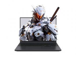 机械革命极光X Pro(酷睿i9-14900HX/32GB/1TB/RTX5070Ti/2.5K/300Hz)