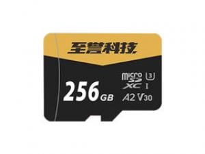 至誉科技Catalyst锋速系列 TF(256GB)