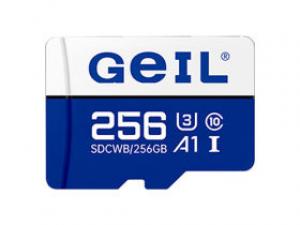 金邦蓝白TF(256GB)