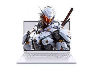 机械革命极光X(酷睿i9-14900HX/32GB/1TB/RTX5070/2.5K/300Hz)