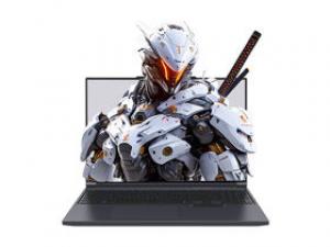 机械革命极光X(酷睿i7-13700HX/16GB/1TB/RTX5070/2.5K/300Hz)