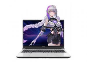 七彩虹隐星P16 Pro(酷睿i9-13900HX/16GB/1TB/RTX5060/2.5K/165Hz)