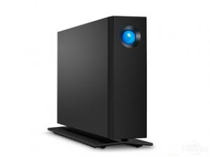 雷孜d2 professional 24TB(STHA24000800)