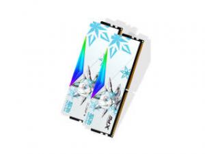 威刚XPG 龙耀 D500G 吹雪联名 C32 DDR5 6400 64GB(32GB×2)