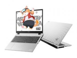 七彩虹MEOW R15(锐龙7 H 255/16GB/1TB/RTX5050/165Hz)
